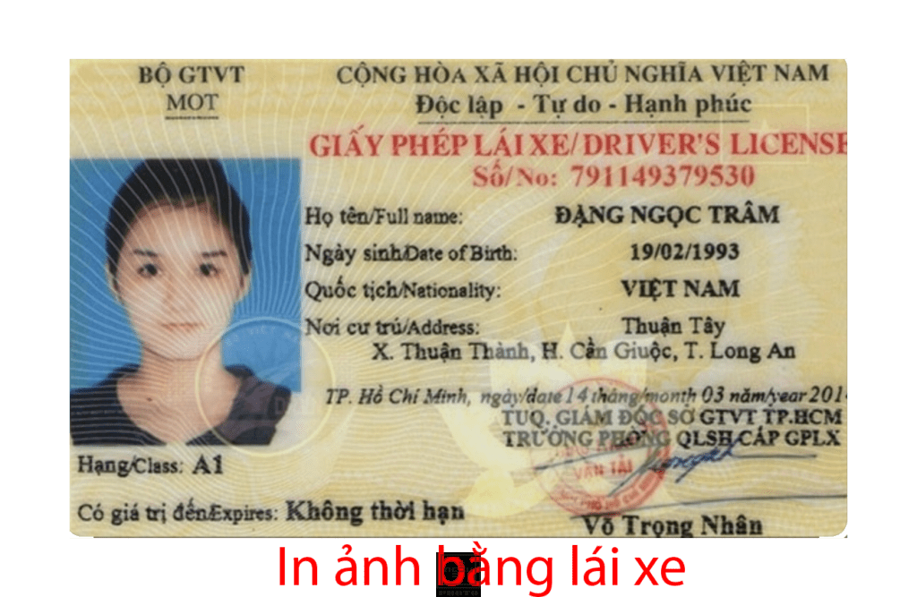 in ảnh bằng lái xe